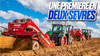 😱 DES PLANTATIONS DE POMMES DE TERRE EN DEUX SEVRES : UNE PREMIERE ! - Pasquier Vgt'al 🌱