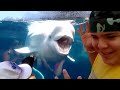 Funny Kids at the Aquarium  Girl SPOOKED By A Beluga Whale!