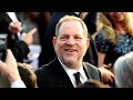 How much did the Weinstein Company's board of directors know?