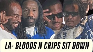 LOS ANGELES BLOODS AND CRIPS SIT DOWN - SPIDER LOC GOT A FULL HOUSE #podcast