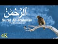 Surah Rahman - سورة الرحمن Sheikh Sudais High Quality HD UHD 4K