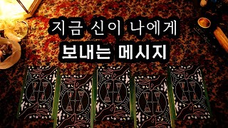 [타로] 지금 신이 나에게 보내는 메시지