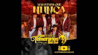 LOS TEMERARIOS DEL SUR - MÁS DAÑO ME HICISTE TÚ