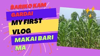 bariko kam gardai makai goddai xu😍😍😁my first vlog