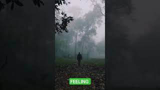 നമ്മുടെ കേരളം | kerala | kerala beauty| Nature beauty kerala| #kerala #keralaforest #naturelovers