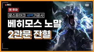 [PvE] 1655 세맥기공 베히모스 2관문 잔혈 / Soulfist(EO) Behemoth Normal Gate 2 CF