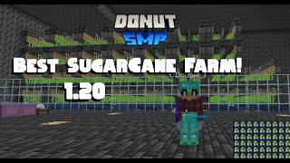 Best Sugarcane Farm To Make In 1.20! Great For The DonutSMP