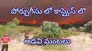 అడవి మంటలు  పోర్చుగల్‌లోని అల్కాబిడెచే, కాస్కైస్‌లో || Forestfire || wildfire || 23 July 2024