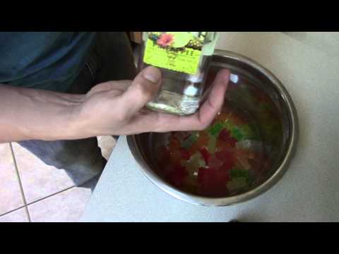 Giant SUPER Rum Soaked Gummy Bears Giant SUPER Rum Soaked Gummy Bears