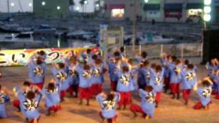 名古屋学生ﾁｰﾑ鯱　神戸よさこい2010マリンピア会場