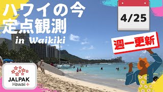 定点観測【ハワイの今】ワイキキ定点観測  2023年4月25日