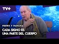 Anatomía zodiacal con Pedro Engel