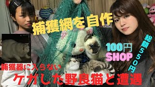 ケガした野良猫が捕獲器にまったく入らない！捕獲を急ぐ為に捕獲網を自作する【100円SHOPで総額550円】