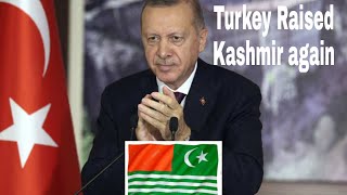 Recep Tayep Erdoğan Kashmir. UNGA