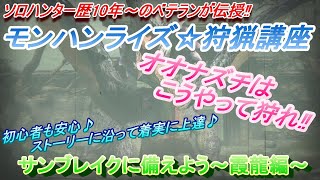 オオナズチ立ち回り講座(ライトボウガン)～モンハンライズ サンブレイクに備えて～