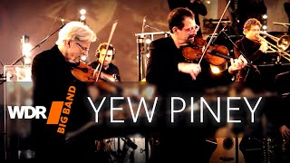 Darol Anger & Mike Marshall - Yew Piney  | WDR BIG BAND