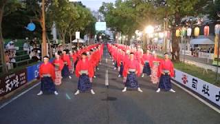 2018舞龍人　高知よさこい全国大会　追手筋北会場演舞　（青龍の聲）