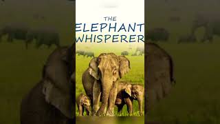 The elephant wisperes #oscar#2023 #treding #viral #oscars #oscar2023 #indianews