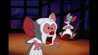 Brain burps 1