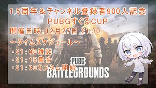 【PUBG】12/27 初心者カスタム参加者とコソ練する！【VTuber】