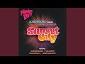 Sunset City (feat. Princess Freesia) (John Morales M+M Sunset Power Beat Mix)