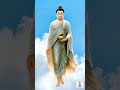 धम्मपद आत्मज्ञान के लिए बुद्ध का मार्ग the buddha s path to enlightenment dhammapada hindi