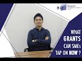 What Grants Can SMEs Tap On Now ,SME Business Loan Singapore?