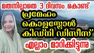 വെറും 3ദിവസം നമുക്ക് വേണ്ടി മാറ്റിവെക്കാൻ തയ്യാറാണോ?പ്രമേഹം കൊളസ്‌ട്രോൾ തുടങ്ങിയ അസുഖങ്ങൾക്ക് മുക്തി