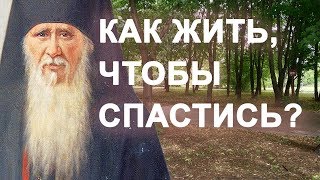 Господь всё устроит, только живи проще! Амвросий Оптинский. Как жить, чтобы спастись?