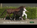 22 nina fleur van de paulinehoeve et for romance x jazz