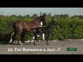 22 nina fleur van de paulinehoeve et for romance x jazz