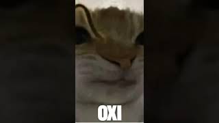 Amei o vídeo