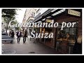 Caminemos por Suiza (Mexicano en Suiza)