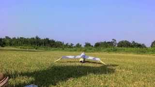 Blohm \u0026 Voss BV RC P212-02 without vertical stabilizer flat spin crashed