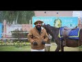 how to approach the horse گھوڑےکو پکڑنے کا صحیح طریقہ horse horseriding