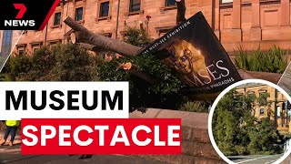 Two trees cause major damage at Australian Museum | 7 News Australia