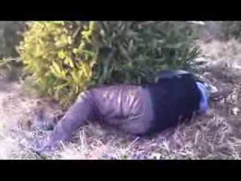 Best Funny Christmas Tree Fail Videos On Youtube Thrillist