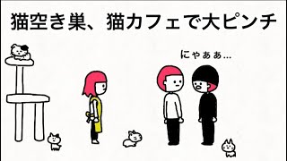 【アニメ】猫空き巣、猫カフェで大ピンチ【ぼくとねこ8話】