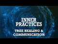 Tree Healing and Communication | Inner Practices