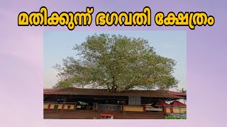 മതിക്കുന്ന് ഭഗവതി ക്ഷേത്രം | temple| വേട്ടക്കൊരുമകൻ പാട്ട് || ഭഗവതി ക്ഷേത്രം || കാര്യസിദ്ധി പൂജ ||