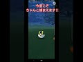 色違いアブソル出てきてビビった…【ポケモンgo】 shorts