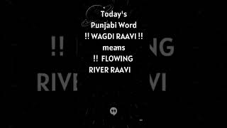 Punjabi Word Wagdi RAAVI ka Meaning From Song Wagdi Raavi by Singer Ranjit Bawa In Movies 2022