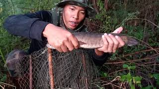 22 กรกฎาคม ค.ศ. 2022snakehead fish trap กู้ลอบดักปลาช่อน