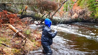 Remote Steelhead Fishing Adventure