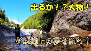 【渓流釣り】ダム遡上の大物を求めて！（前編）