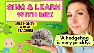 'A Hedgehog is very prickly' nursery rhyme with actions | educational toddler video | Baby learning