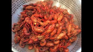 Boil Crawfish On A Budget, Cooked in Kitchen, Cajun Style