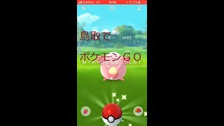 ポケモンＧＯ とっとりＧＯ　pokemon go　鳥取砂丘でやってきました