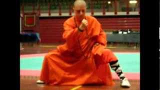 SHAOLIN QI-GONG WU-XING-QUAN:i 5 Animali:\