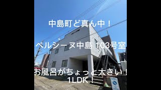 【賃貸】室蘭市中島町2丁目　1LDKアパート　ベルシーヌ中島　103号室　お風呂がちょっとだけ大きい！！